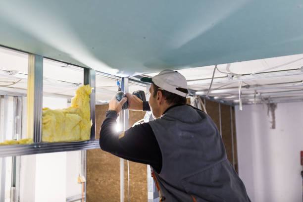 Best Insulation Replacement Services  in Barnsdall, OK